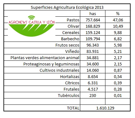 Superficie dedicada a la producción ecológica en España en 2013