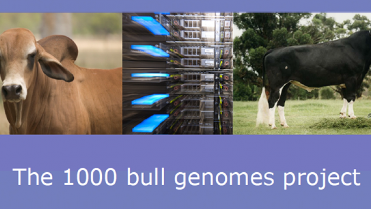 1000 bull genomas project conafe
