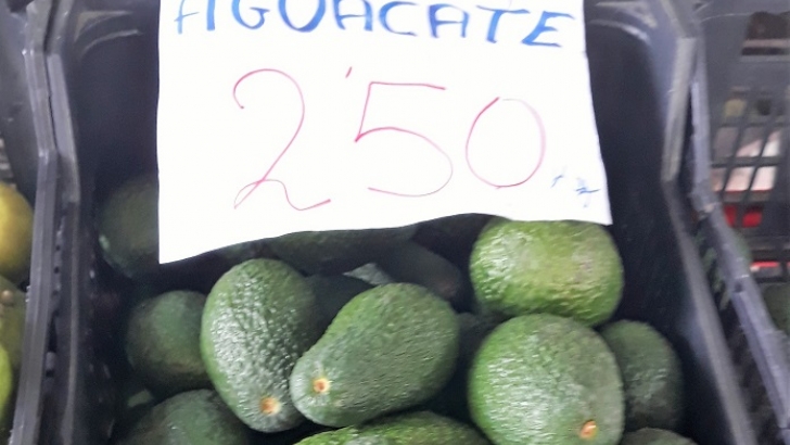 aguacate hass velez 10 10 2018. incomestible