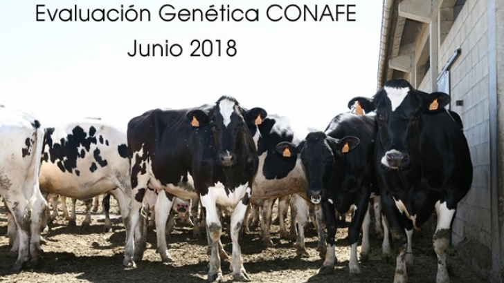 evaluacion genetica conafe junio 2018 web conafe
