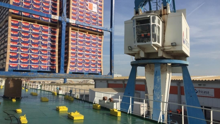 f1 carga de clementinas en el puerto de castellon 1