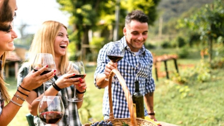 friends toasting with red wine after the harvesting picture id611763860 850x425 1