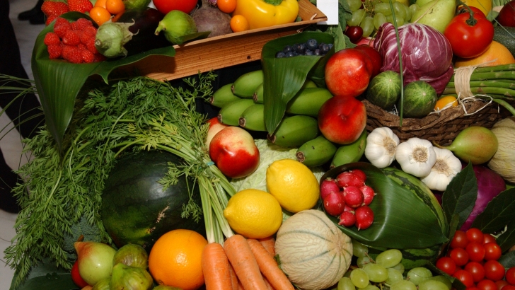 verduras congeladas productos agroalimentarios frutas