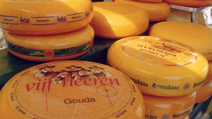 gouda cheese12
