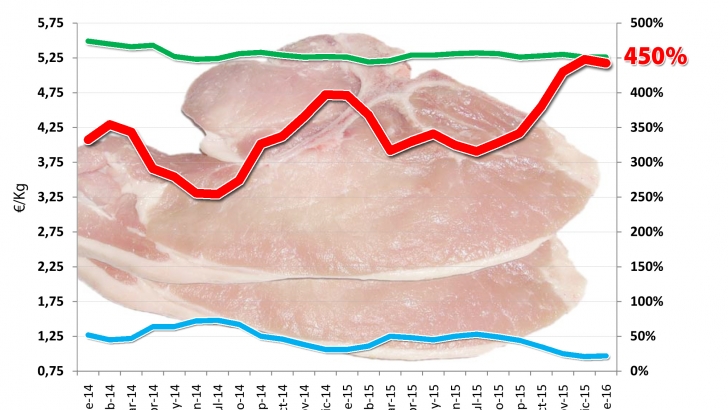 grafico diferencial precios origen destino carne cerdo