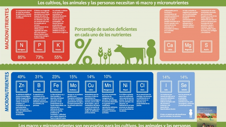 infografia 1 los cultivos los animales 1107