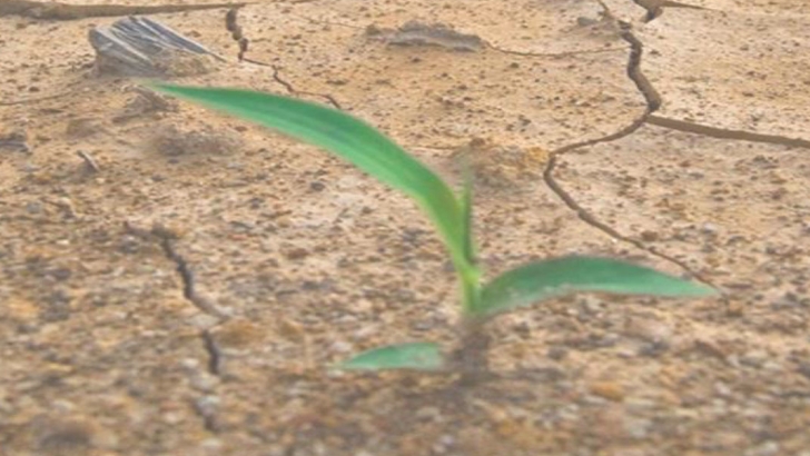 jornada canvi climatic agricultura
