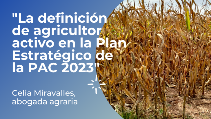 la definicion de agricultor activo en la plan estrategico de la pac 2023