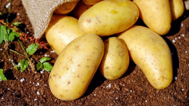 patatas imagen recurso