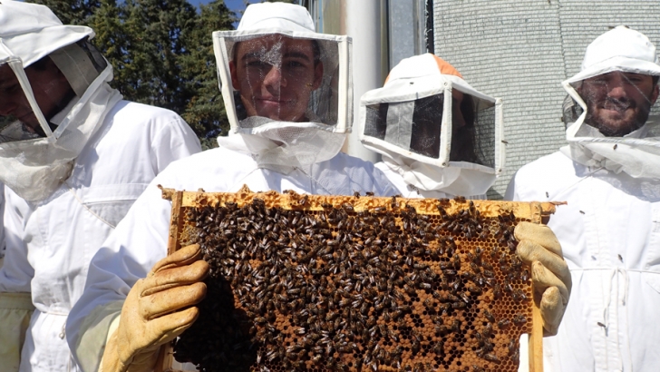salida practicas agronomos ucav apicultura br