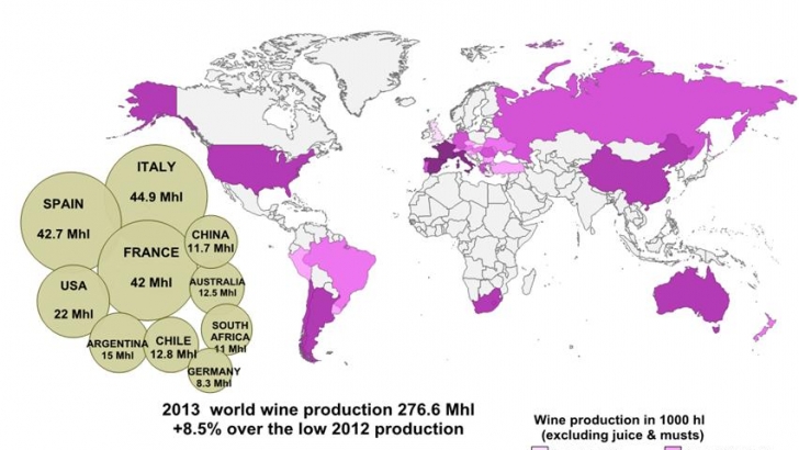 world production of wine in 2013