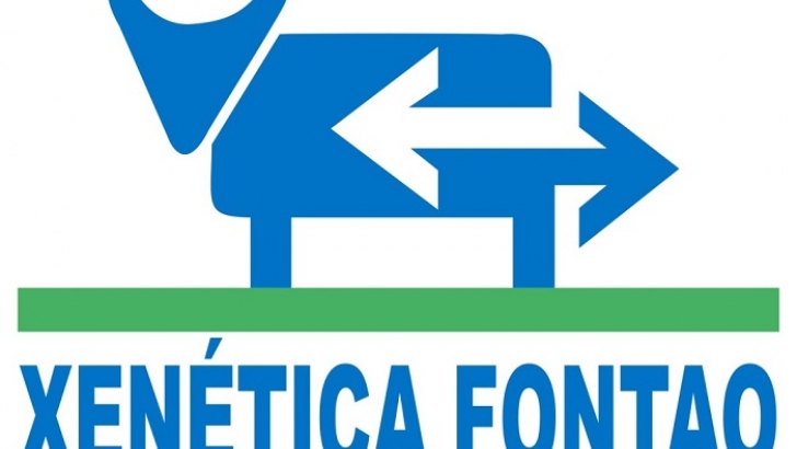xenetica fontao sa logo 1024x686 1