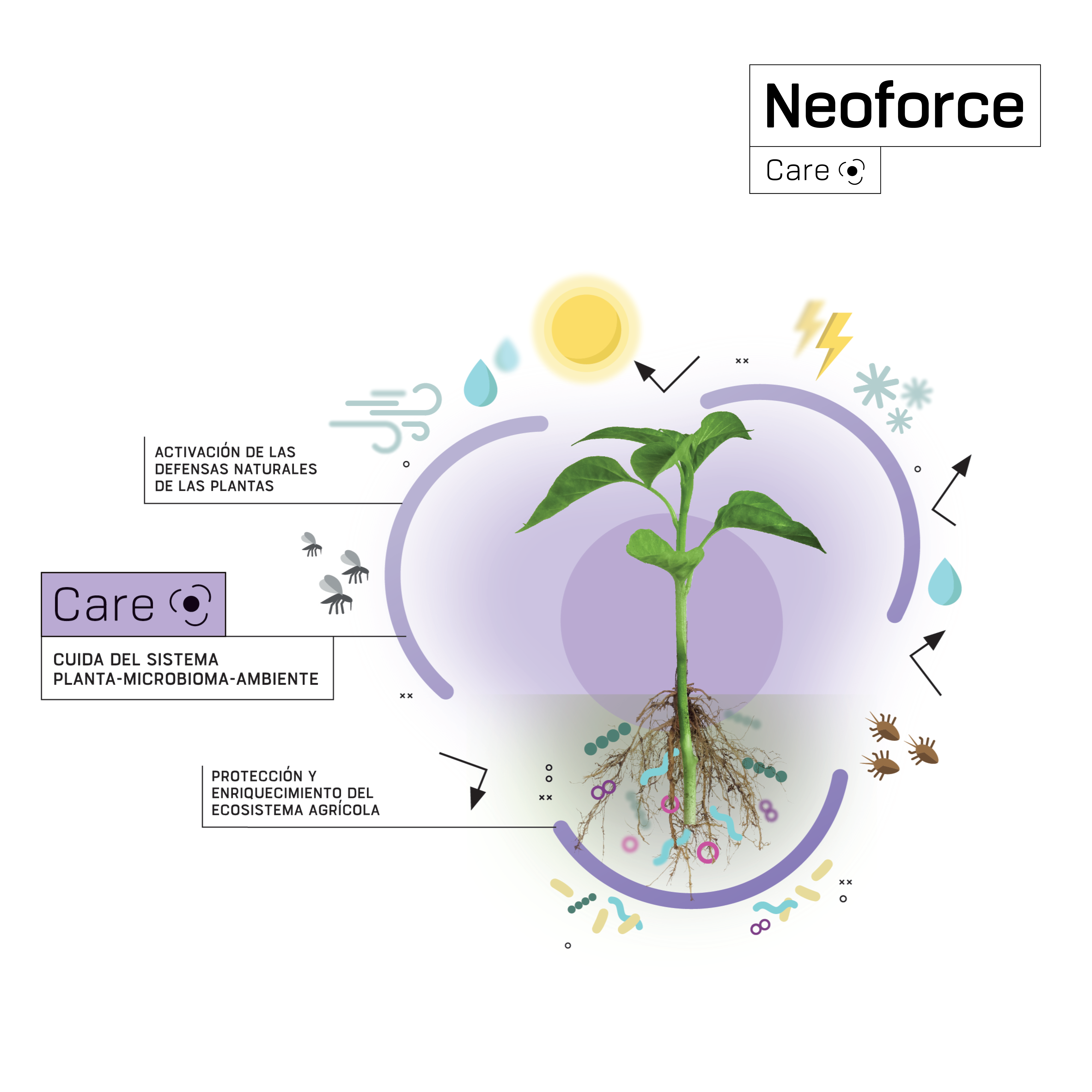 Infografia Neoforce ES con logo