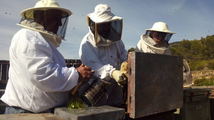 apicultors valencians