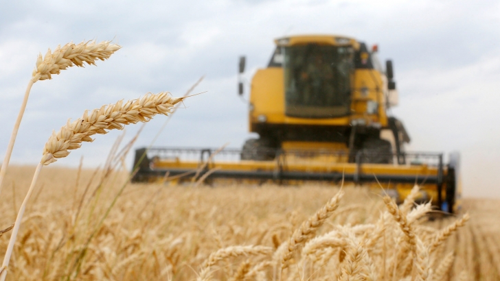 fao anatolii stepanov international wheat prices fell by 5 7 percent in june