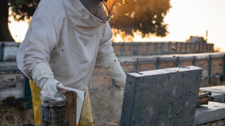 foto upa uce miel apicultura