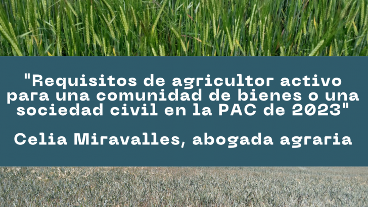 requisitos de agricultor activo para una comunidad de bienes o una sociedad civil en la pac de 2023
