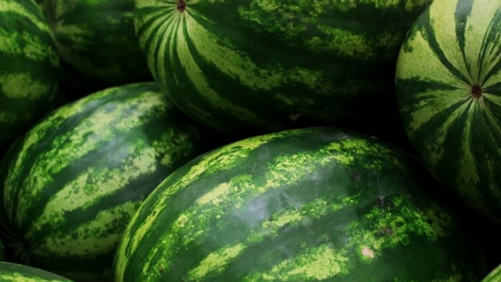watermelons 5318938 960 720 696x464 1