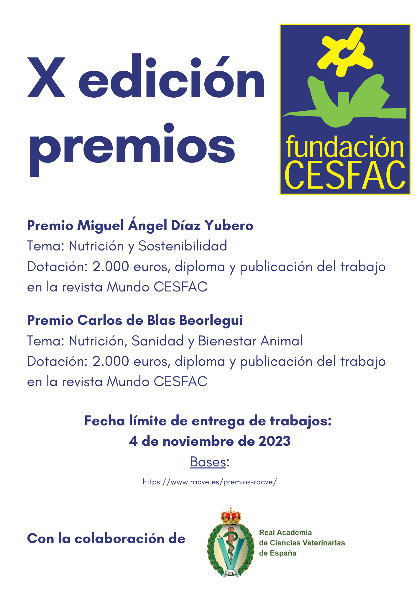 Cartel X edicion premios Fundacion CESFAC