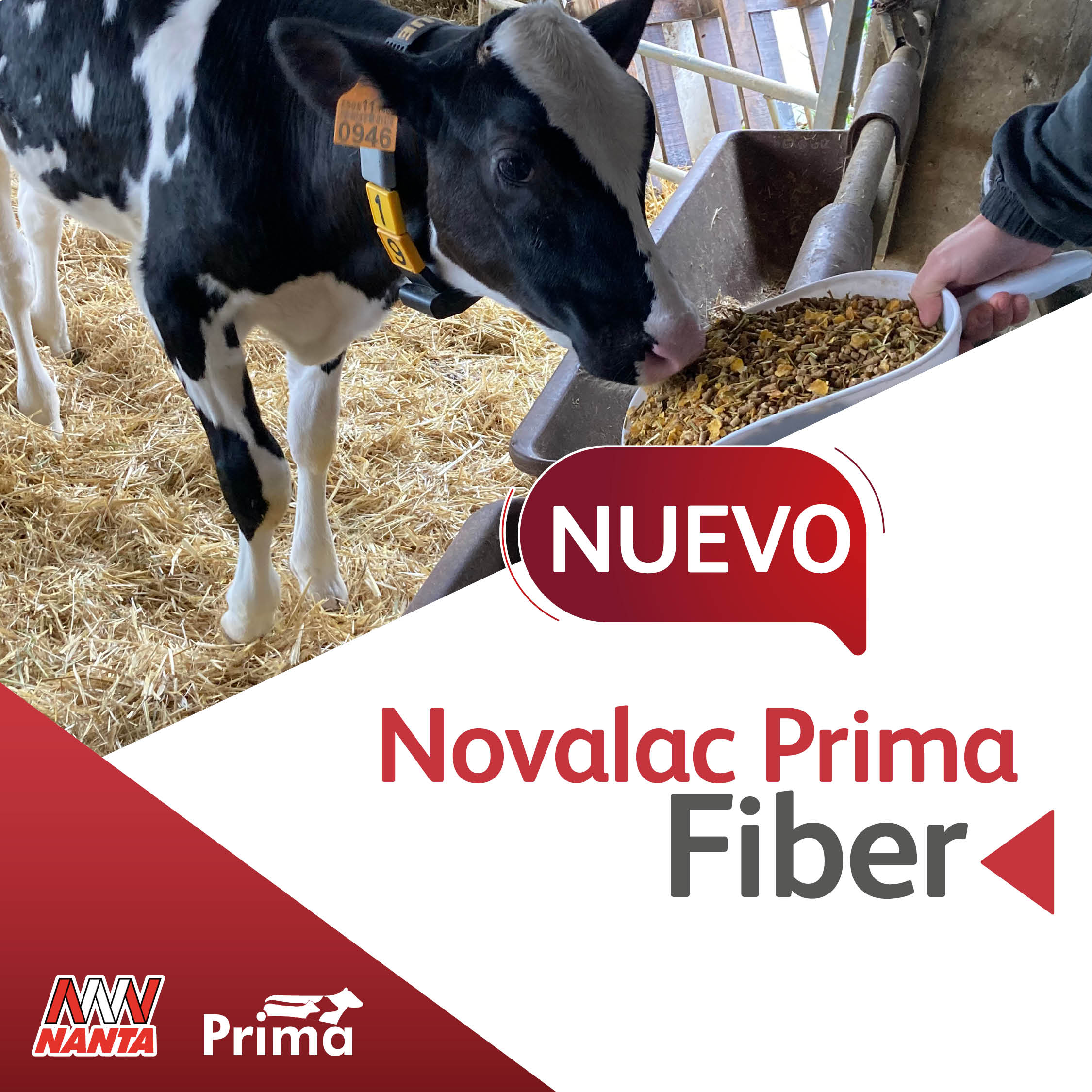 Novalac Prima Fiber