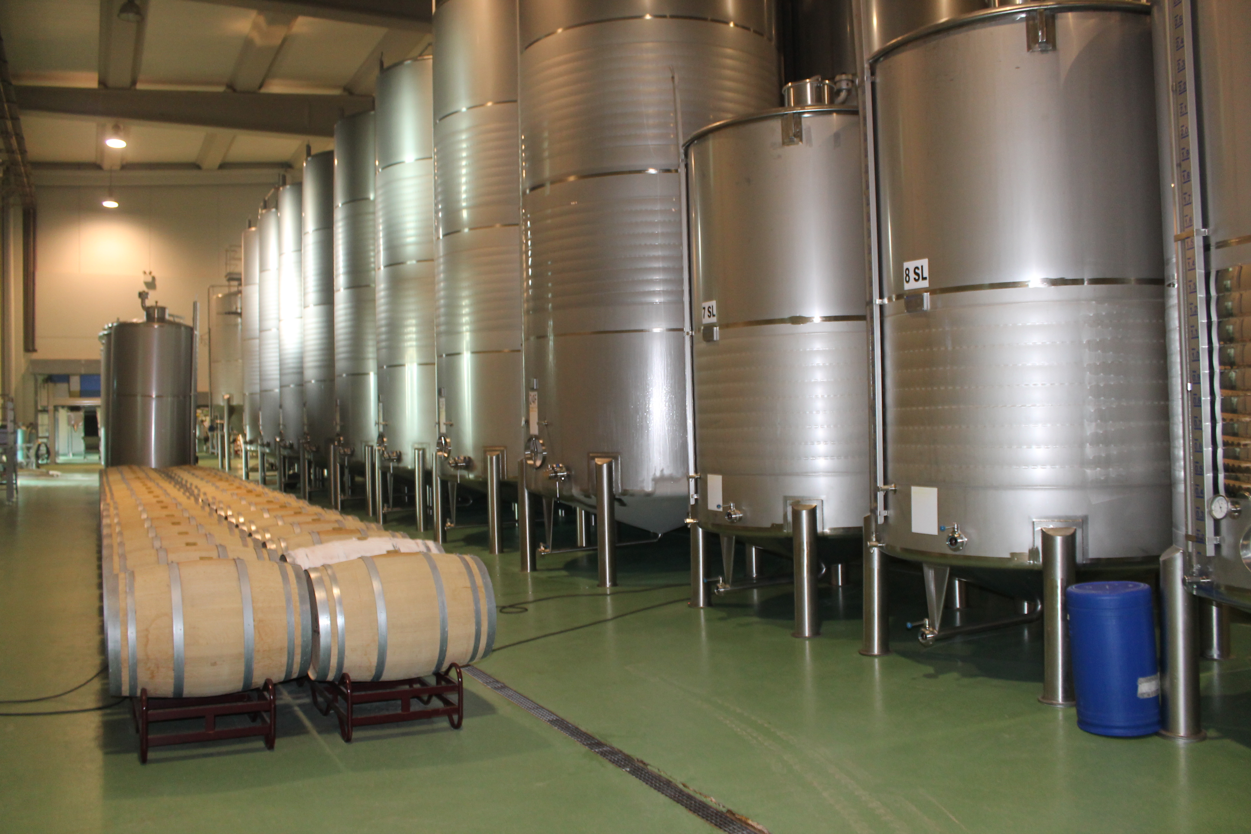 vino itacyl sector vitivinícola