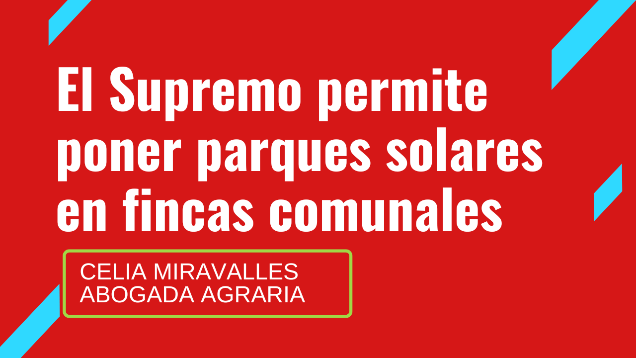 El Supremo permite poner parques solares en fincas comunales