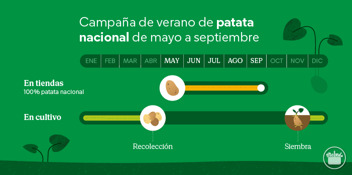calendario patata nacional mercadona